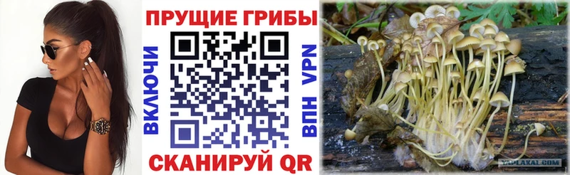 hydra ONION  Верхний Уфалей  Псилоцибиновые грибы прущие грибы 